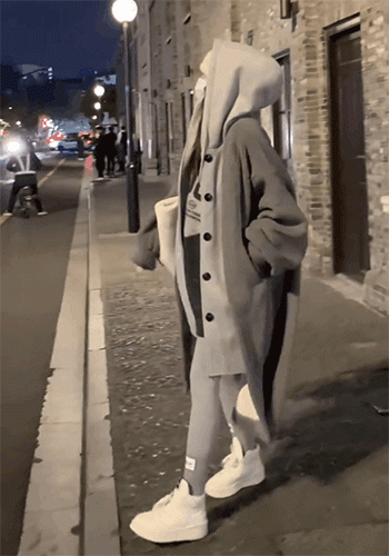Chic Faux Fur Style Coat