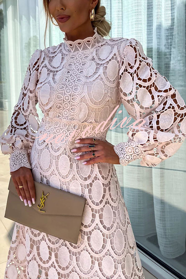 Exquisite Lace Elegance Dress