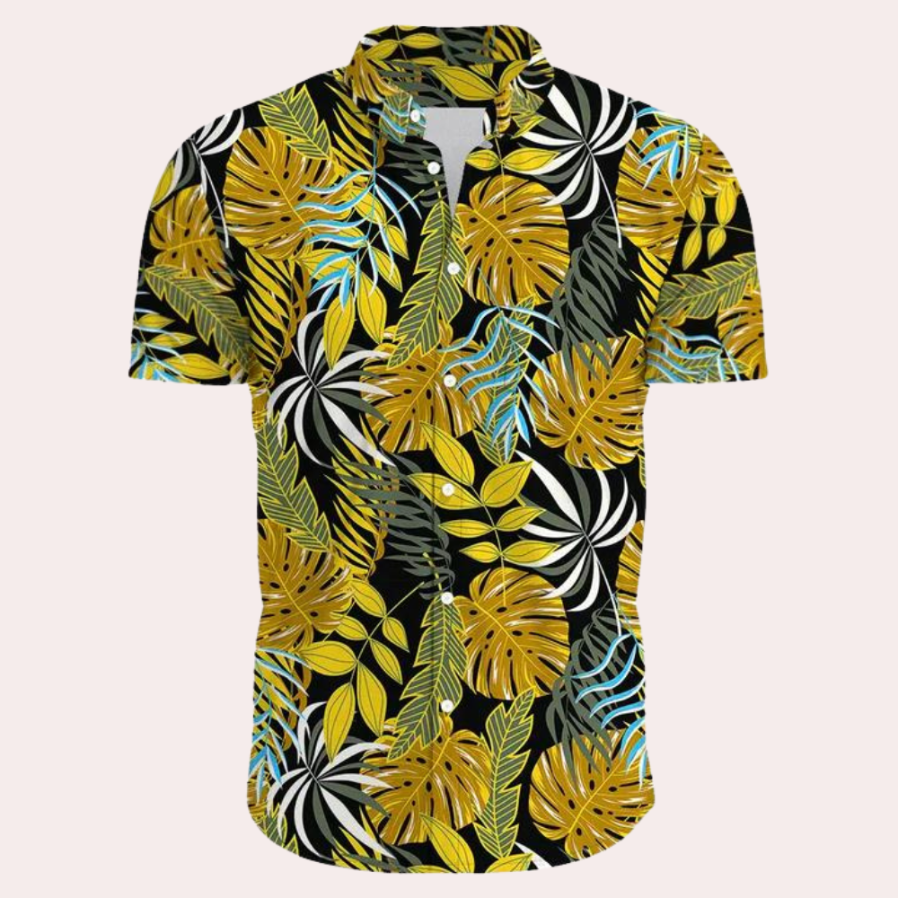 Andre Collection