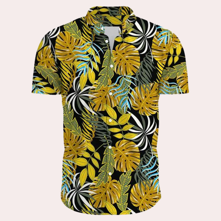 Andre Collection