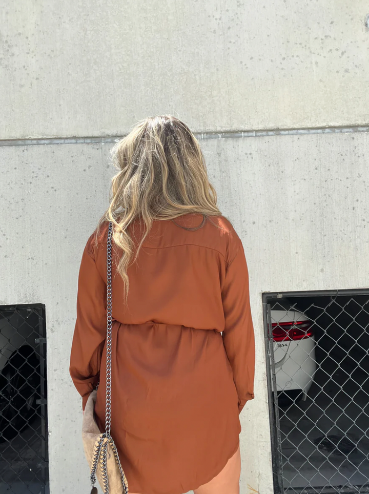 Luxury Satin Sleepwear Dress